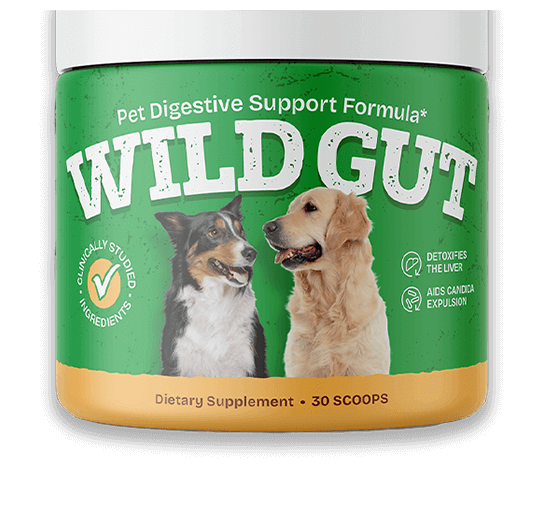 Wild Gut
